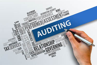 Audit Firms in Mohali